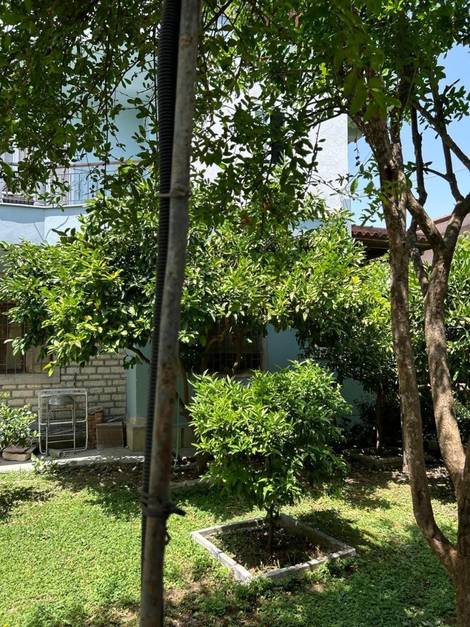 Guesthouse Katerina Берат Экстерьер фото