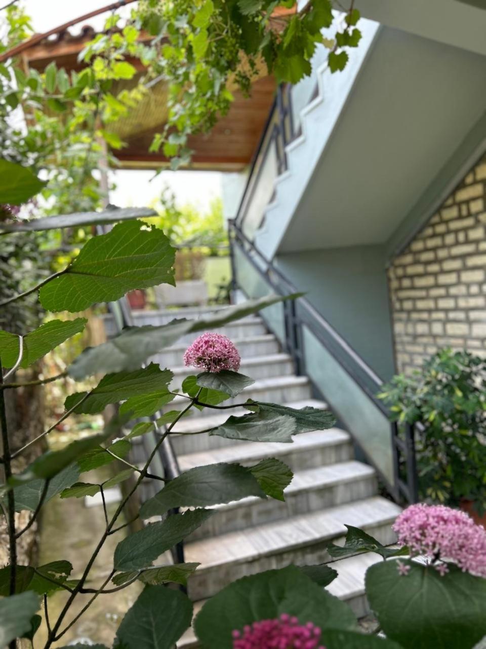 Guesthouse Katerina Берат Экстерьер фото