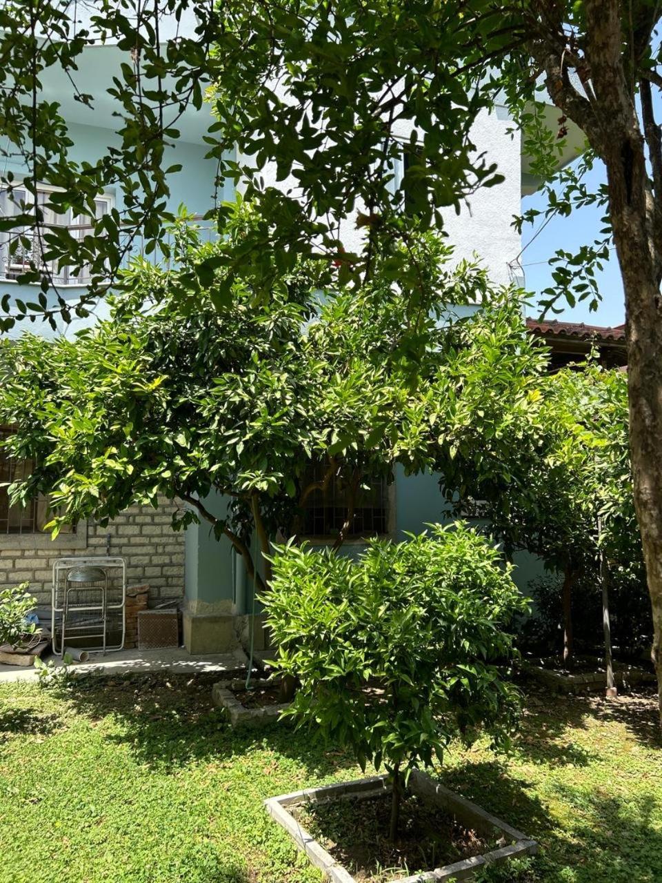 Guesthouse Katerina Берат Экстерьер фото